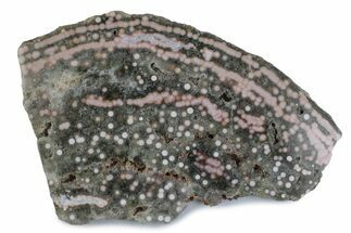 Polished Orbicular Ocean Jasper Slab - Madagascar #379341