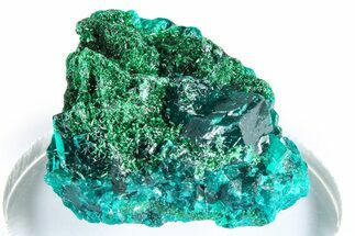 Emerald-Green Dioptase Crystal Cluster w/ Malachite - DR Congo #379396
