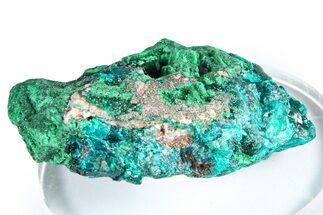 Emerald-Green Dioptase Crystal Cluster w/ Malachite - DR Congo #379399