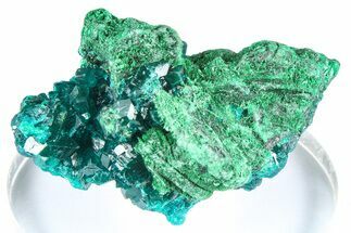 Emerald-Green Dioptase Crystal Cluster w/ Malachite - DR Congo #379421