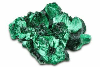 Silky Fibrous Malachite Cluster - DR Congo #379658