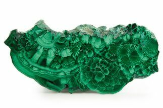 Flowery Polished Malachite Slab - D R Congo #379708