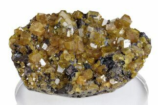 Gemmy Yellow-Orange Mimetite Crystals on Matrix - Congo #379954