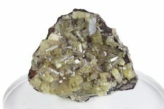Glassy Yellow Mimetite Crystals on Matrix - Congo #379970