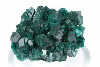 Stunning Dioptase Crystal Cluster - Congo #379998
