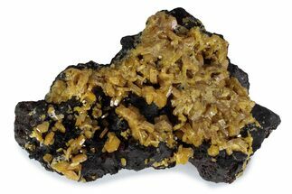 Vibrant Orange Mimetite Crystals on Matrix - Congo #380035
