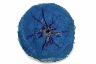 Vivid Blue Cut/Polished Azurite Nodule - Siberia #379869