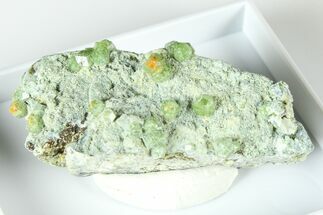 Sparkling Demantoid Garnet Cluster in Matrix - California #379780