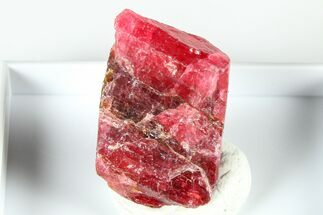Striking Cherry-Red Rhodonite Specimen - Brazil #379795