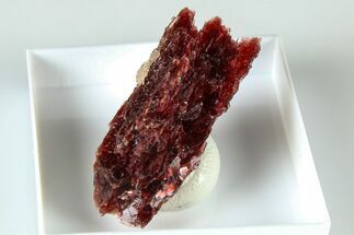 Lustrous Red Alurgite Crystal Cluster - South Africa #379827