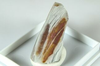 Rare Quartz Crystal with White Sodic-Ferrogedrite - Brazil #379833