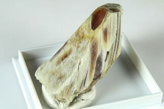 Rare Quartz Crystal with White Sodic-Ferrogedrite - Brazil #379834