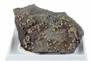 Tetrahedral Zunyite Crystal Cluster w/ Hematite - Iran #380200