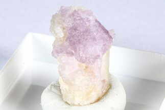 Purple Spinel Crystals with Forsterite & Phlogopite - Tajikistan #380321