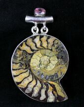 Large Ammonite Fossil Pendant - Sterling Silver #19878