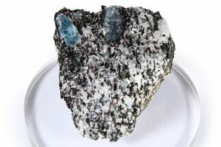 Fluorescent Kyanite & Garnet in Biotite-Quartz Schist - Russia #380694