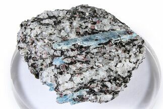 Fluorescent Kyanite & Garnet in Biotite-Quartz Schist - Russia #380695