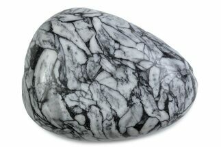 Polished Pinolite Palm Stone - Austria #380866