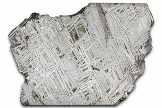 Aletai Iron Meteorite Slice ( g) - Xinjiang, China #381575
