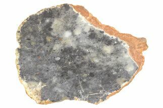 Lunar Meteorite ( g) Slice - Bechar #381615