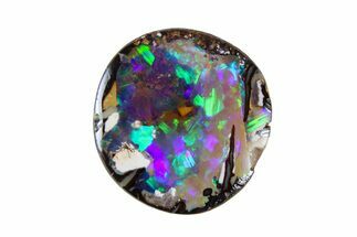 Colorful Polished Boulder Opal Specimen - Queensland, Australia #381694