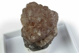Citrine Quartz Star Pseudomorph after Ikaite - Morocco #381431