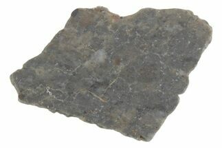 Lunar Meteorite ( g) Slice - Laayoune #381691