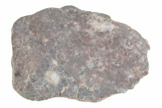 Lunar Meteorite ( g) Slice - Laayoune #381706