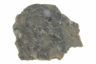 Lunar Meteorite ( g) Slice - Laayoune #381713