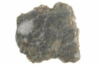 Lunar Meteorite ( g) Slice - Laayoune #381714