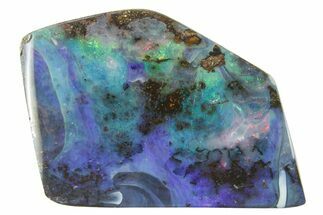 Polished Boulder Opal Specimen - Queensland, Australia #381854