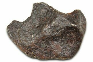 Canyon Diablo Iron Meteorite ( g) - Arizona #381941