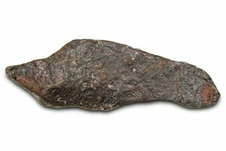 Canyon Diablo Iron Meteorite ( g) - Arizona #381974