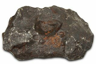 Canyon Diablo Meteorites For Sale