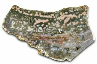 Polished Orbicular Ocean Jasper Slab - Madagascar #382017