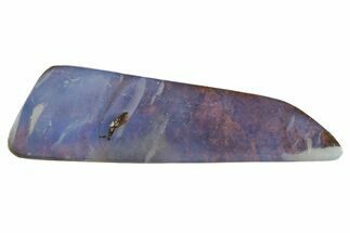 Galactic Boulder Opal Specimen - Queensland, Australia #381881