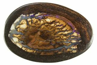 Flashy Polished Boulder Opal Specimen - Queensland, Australia #381883