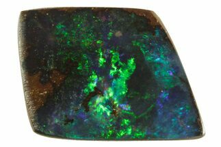 Electric Boulder Opal Specimen - Queensland, Australia #381915