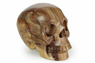 Realistic, Polished Picture Jasper Skull #381920
