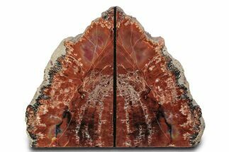 Tall Arizona Petrified Wood Bookends - Brick Red #382162