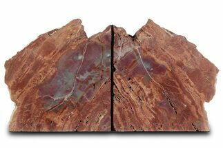 Tall Arizona Petrified Wood Bookends - Red and Purple #382171