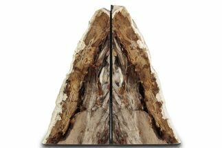 Tall Petrified Wood Bookends #382175