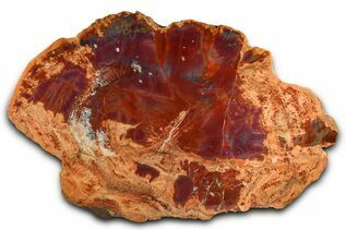 Premium Specimens For Sale