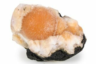 Vibrant Peach Thomsonite on Basalt - India #382283