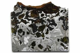 Pallasites For Sale