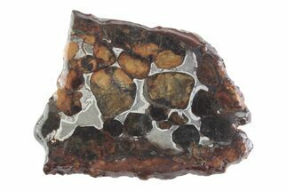 Sericho Pallasite Meteorite ( g) Slice - Kenya #382936