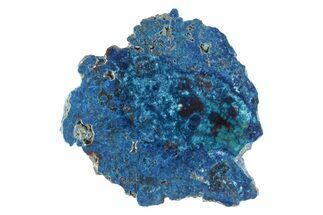 Vibrant Chrysocolla and Shattuckite Section - Mexico #383739