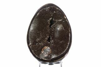Septarian Dragon Egg Geode - Sparkly Black Crystals #383838