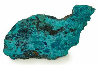 Vibrant Chrysocolla and Shattuckite Slice - Mexico #384308