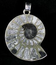 Large Pyritized Ammonite Fossil Pendant - Sterling Silver #21000